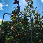 Tenuta Arcidiacono - Etna, Wine, Country & Relax