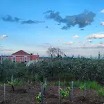 Tenuta Arcidiacono - Etna, Wine, Country & Relax וילה זפראנה אטניאה