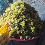 וילה Tenuta Arcidiacono - Etna, Wine, Country & Relax זפראנה אטניאה