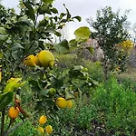 Tenuta Arcidiacono - Etna, Wine, Country & Relax וילה