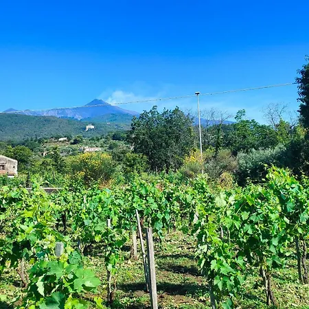 וילה Tenuta Arcidiacono - Etna, Wine, Country & Relax