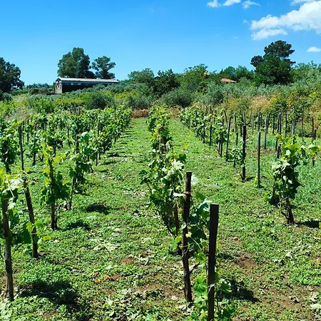וילה Tenuta Arcidiacono - Etna, Wine, Country & Relax *